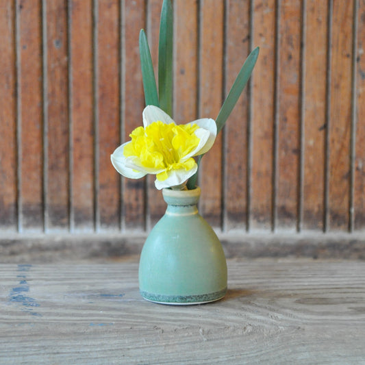 Tiny Vase - Fern Mist 2
